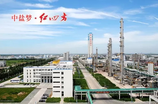 安徽红四方股份有限公司